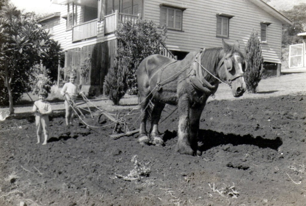 Growing up on Webster Road