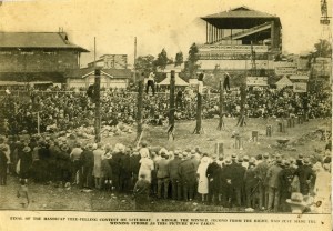 Final of the Handicap tree-felling contest001