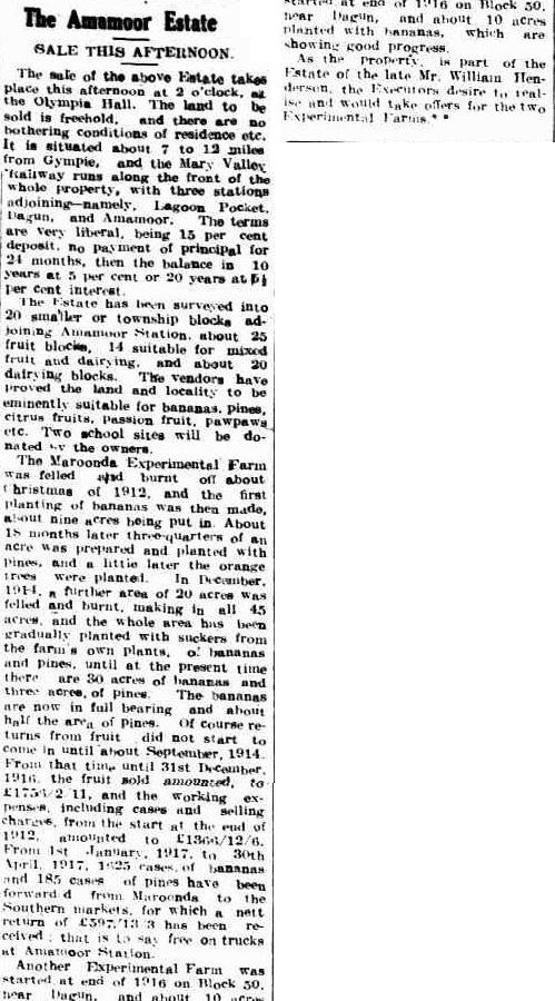 gympie-times-and-mary-river-mining-gazette-qld-1868-1919-saturday-26-may-1917-page-5