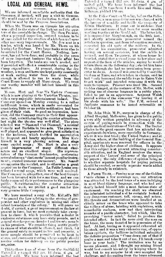 Gympie Times and Mary River Gazette, Wednesday 17 October 1877, page 3