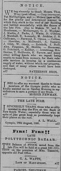 Gympie Times, Wednesday, August 17, 1881 p.2 Fire sales