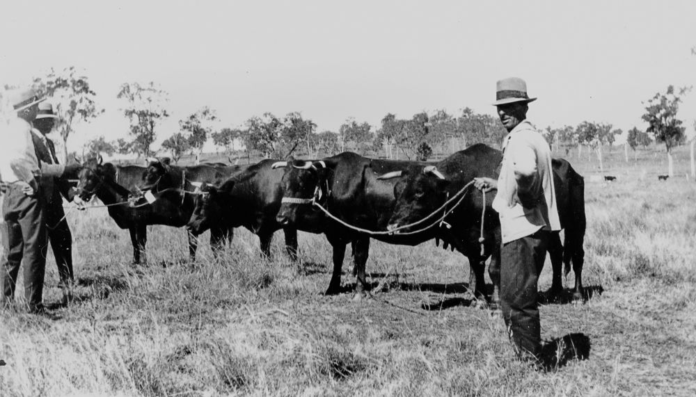 IE114798_FL121339.jpg