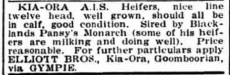 Kia Ora AIS Heifers, Elliott Brothers