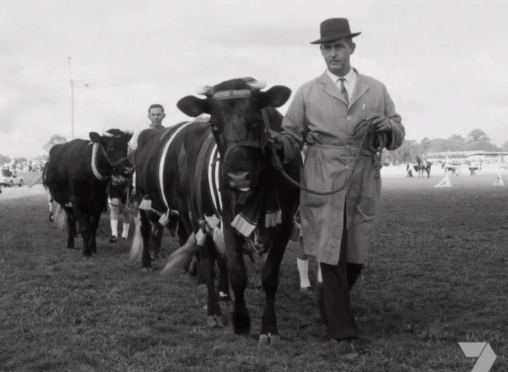 Double Platinum Blunt Wrap Indigo (Grape) - Smokers Store